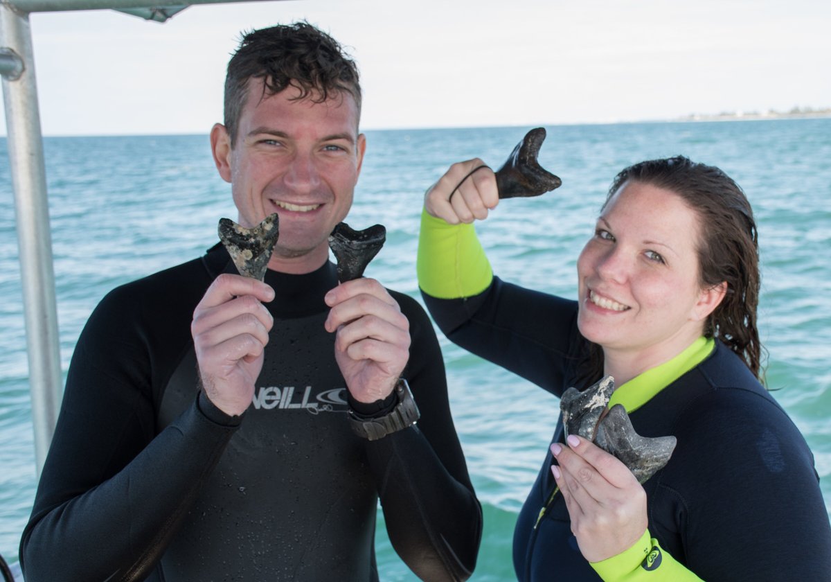 Venice Dive Center (Nokomis) - All You Need to Know BEFORE You Go