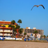 North Beach (Corpus Christi) - All You Need to Know BEFORE You Go