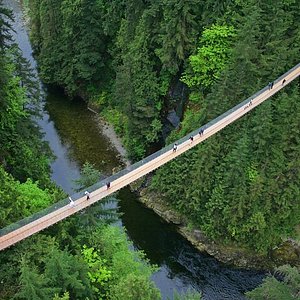 THE 15 BEST Things to Do in Port Coquitlam - 2024 (with Photos) -  Tripadvisor