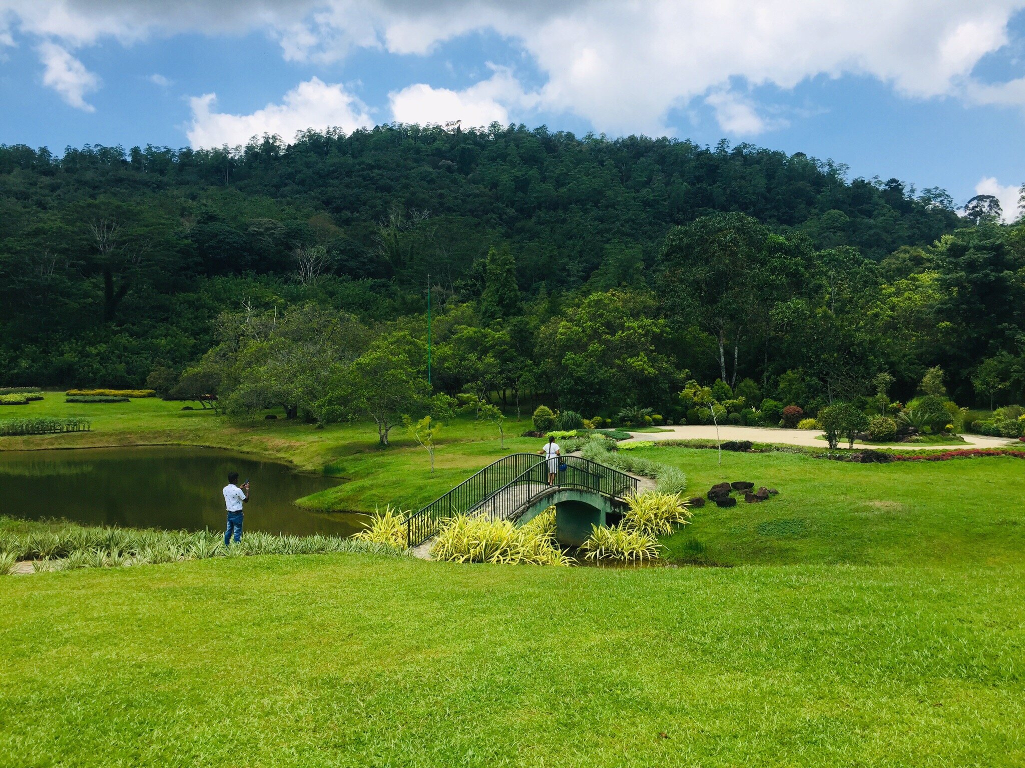 Seethawaka Wet Zone Botanic Gardens - All You Need to Know BEFORE