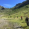 Things To Do in Parc National des Ecrins, Restaurants in Parc National des Ecrins