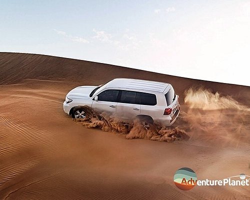 Desert Safari Dubai Experience · The Lost Executive