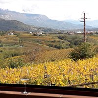 Panorama dalla cantina view from the cellar