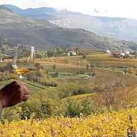 Degustare un buon vino con il panorama dalla cantina Tasting an excellent wine with view from the cellar