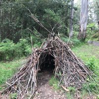 Noojee Trestle Bridge: All You Need to Know BEFORE You Go