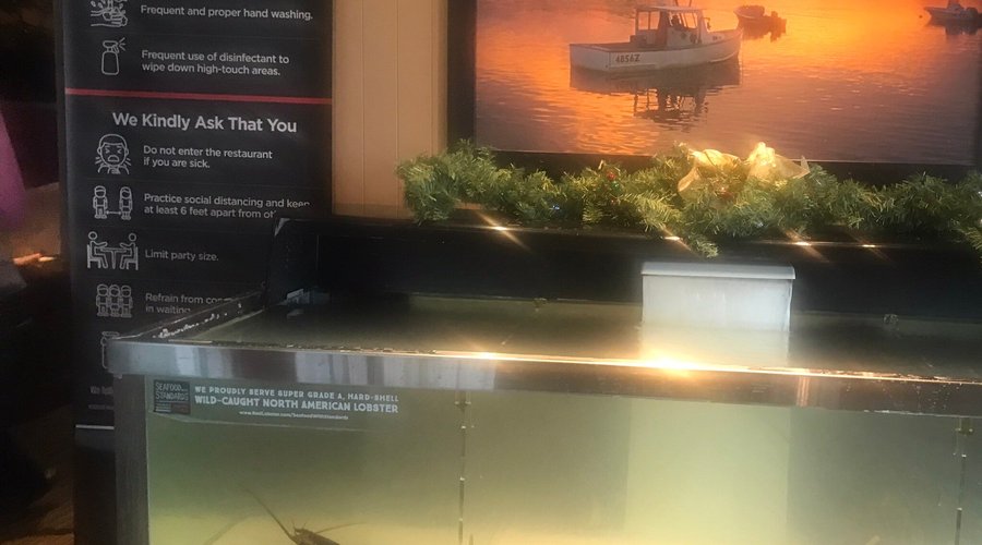 Red Lobster