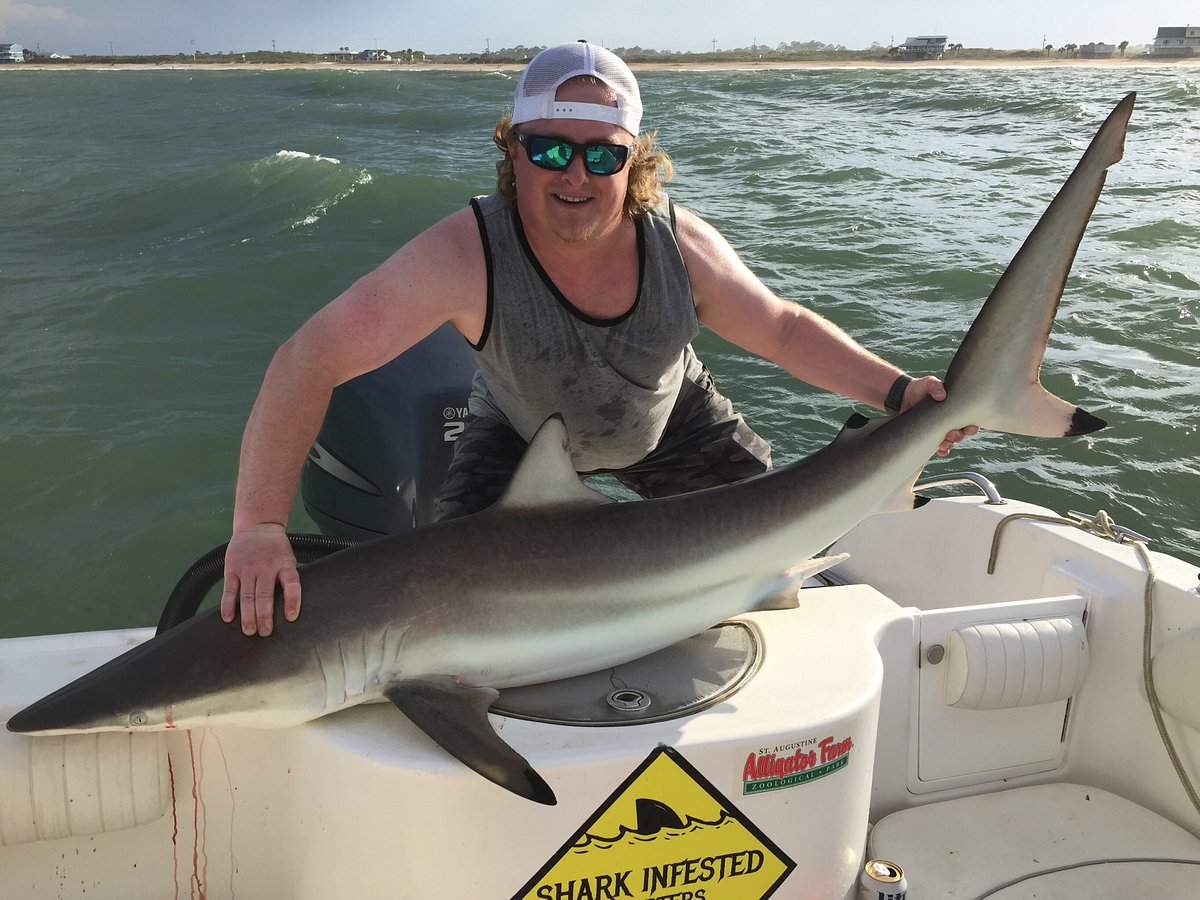 The 13 Best Blacktip Shark Fishing Charters in Jacksonville
