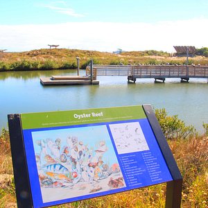 Horace Caldwell Fishing Pier - All You Need to Know BEFORE You Go (2024)