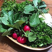 野菜はどれも新鮮でおいしかったです。