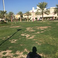 حديقة صغيرة بقطعة ٣