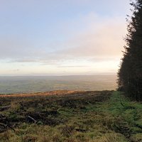 Ballyboley Forest 3