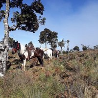 Rancho Zé Macaco