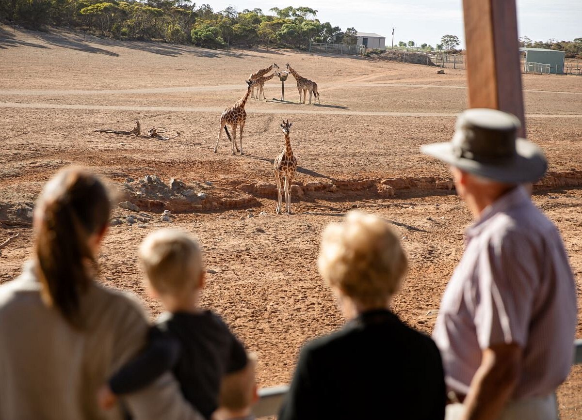 how big is monarto safari park