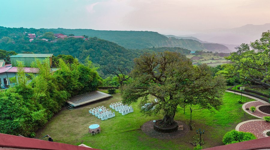 Arial View Lawn