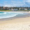 Bondi Bluey