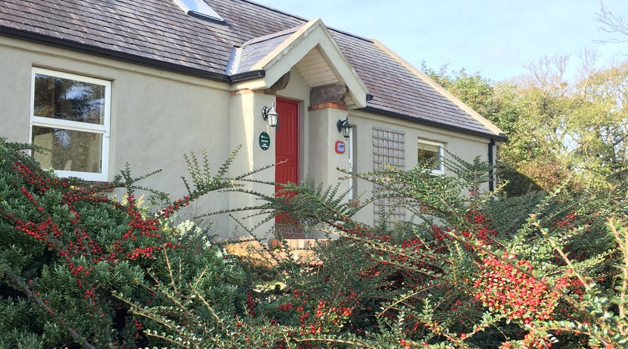 Blackthorn Cottage in the Autumn sunlight. Graded 4 star ⭐️ by Tourism NI 