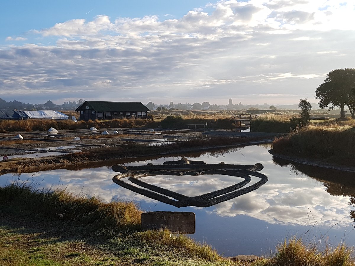 LES SALINES (Les Sables d'Olonne): Ce qu'il faut savoir pour votre ...