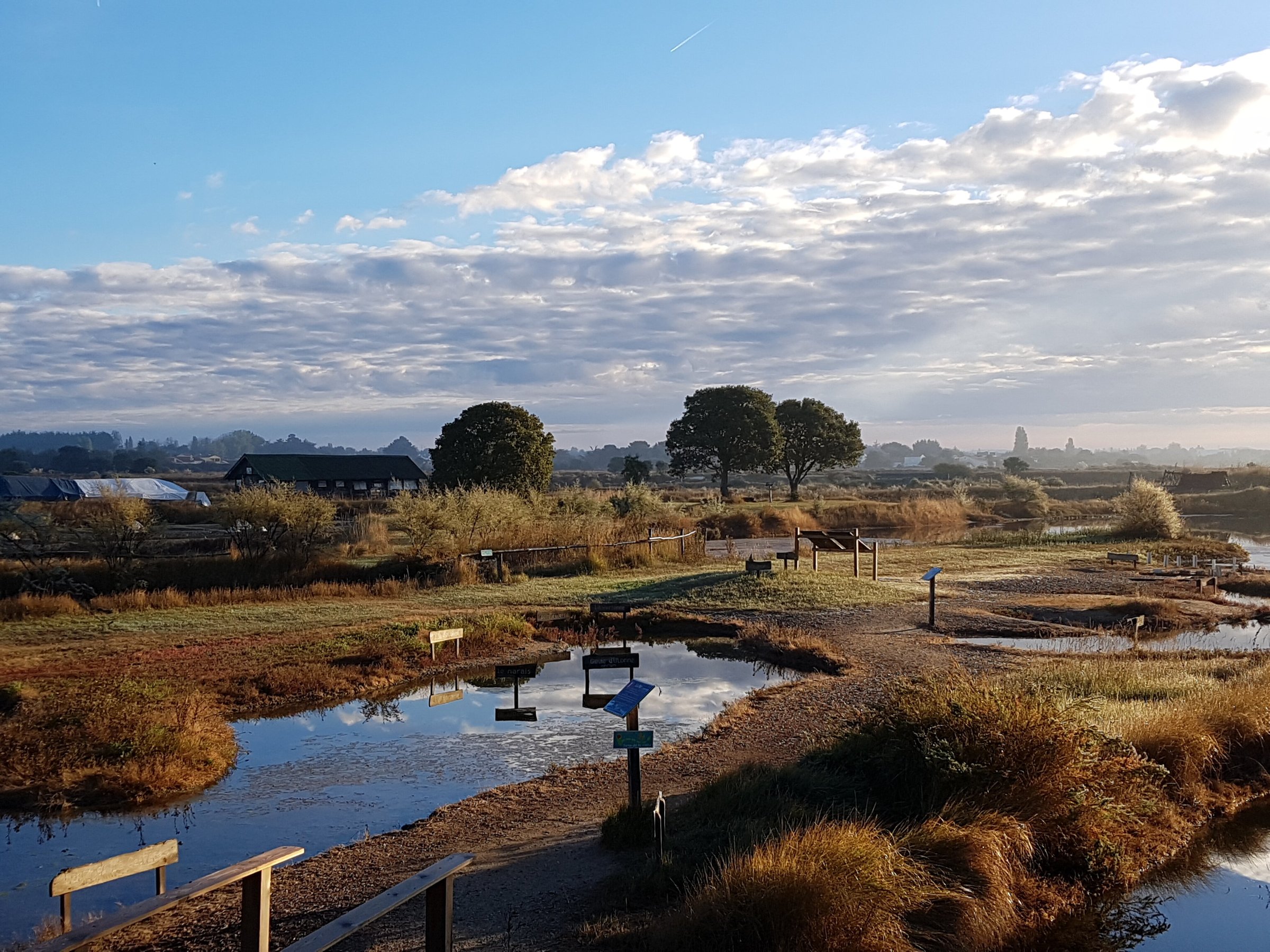 LES SALINES (Les Sables d'Olonne): Ce qu'il faut savoir pour votre ...