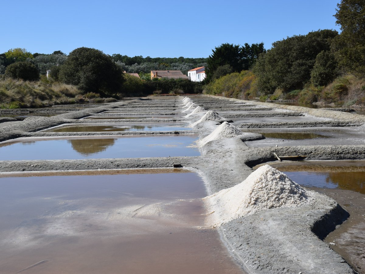 LES SALINES (Les Sables d'Olonne): Ce qu'il faut savoir pour votre ...