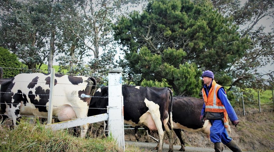 Otago Peninsula