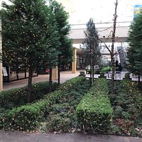 通路には緑もある