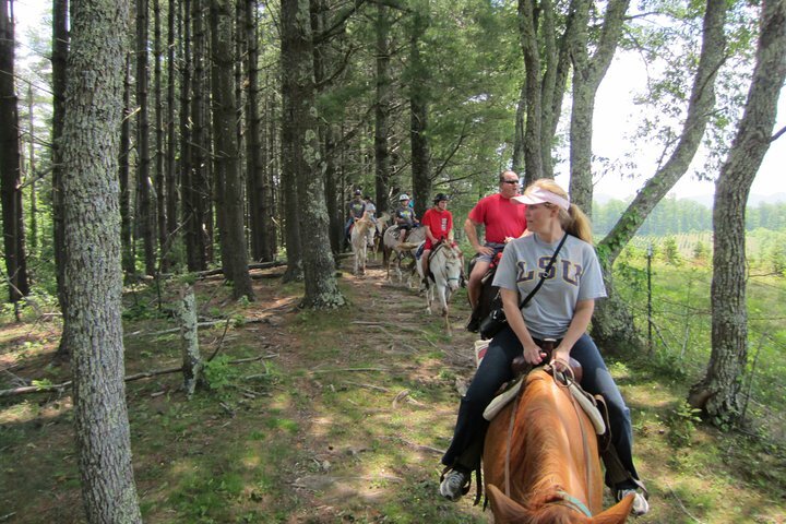 Burton Trout Hatchery Clarkesville GA Hours Address Tripadvisor