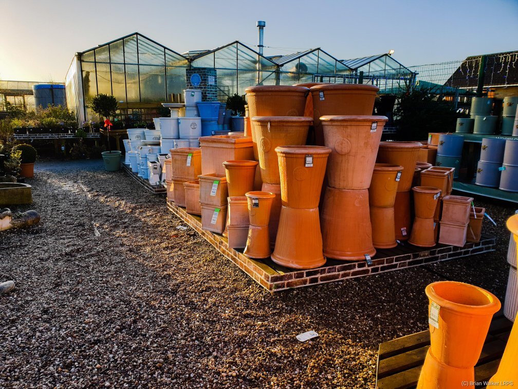 Woodhouse Green Nurseries What to Know BEFORE You Go with Photos