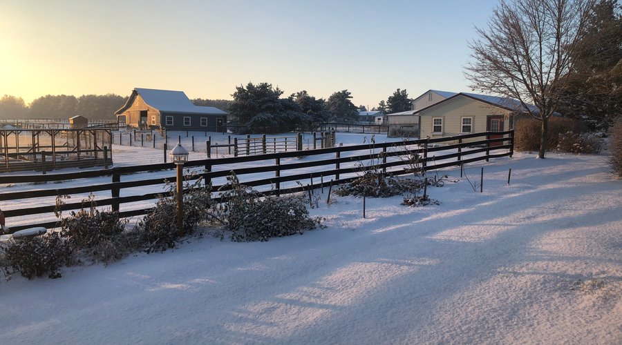 The driveway past the equipment shed to the barn in the snow