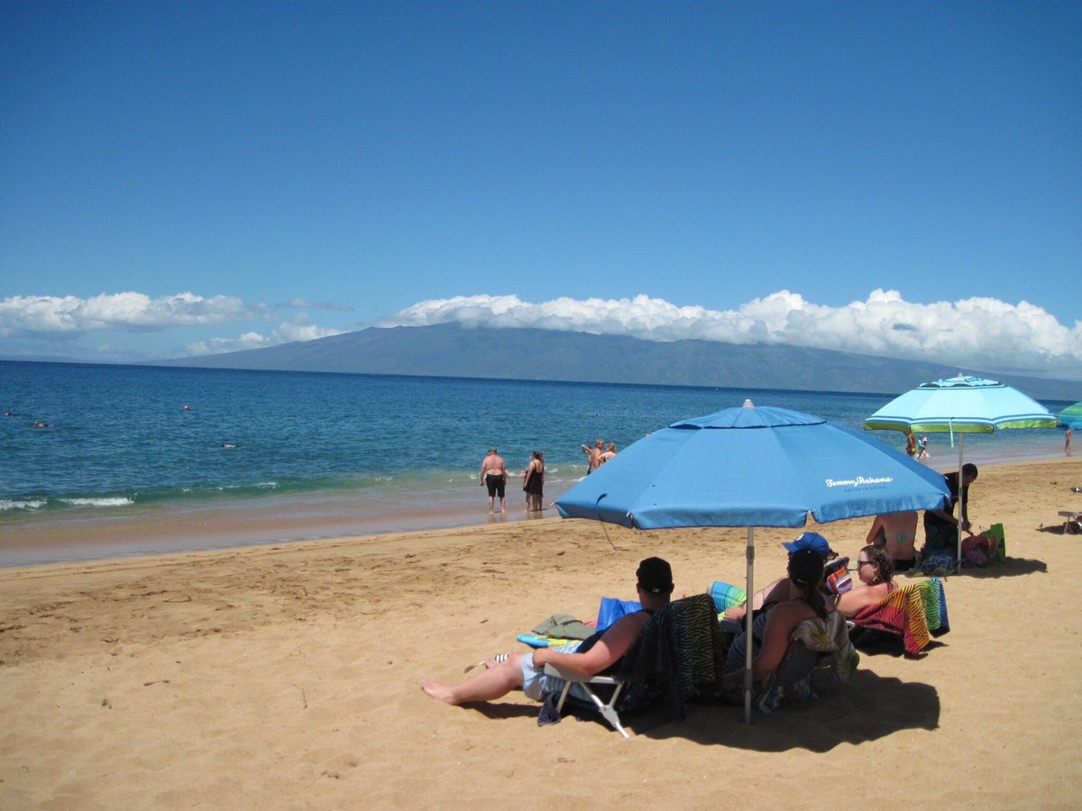 Snorkel Bobs Kihei Aktuell Für 2022 Lohnt Es Sich Mit Fotos