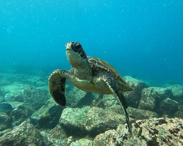 Galapagos Islands 2023: Best Places to Visit - Tripadvisor