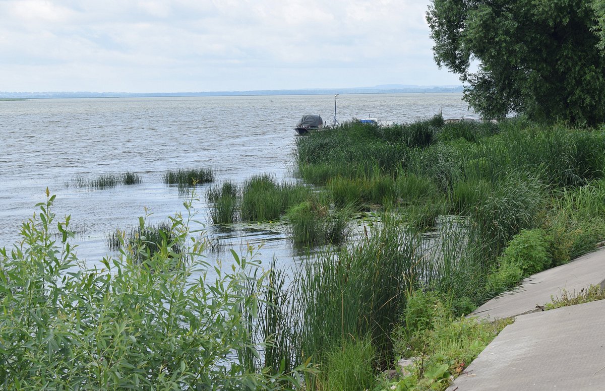 Городской сад, Ростов: лучшие советы перед посещением - Tripadvisor