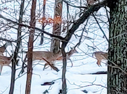Pennsylvania review images