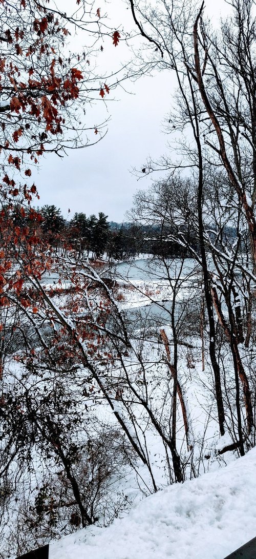 Pennsylvania review images