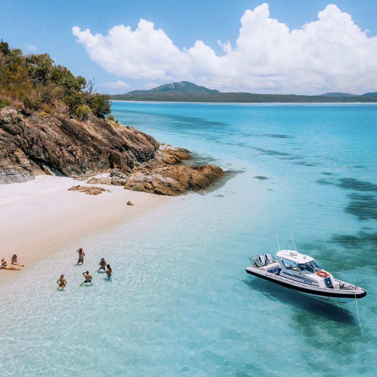 FREEDOM - EXCLUSIVE BOAT CHARTERS (Hamilton Island): Ce qu'il faut ...