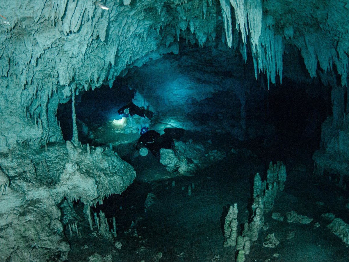 Tulum Scuba - All You Need to Know BEFORE You Go (2024)