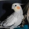 Jon