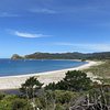 Kiwi_Traveller45