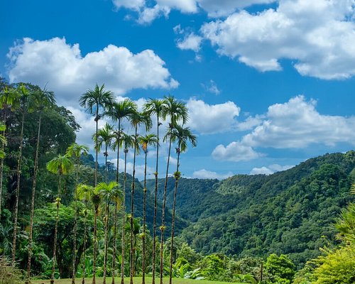THE 10 BEST Parks & Nature Attractions in Martinique (Updated 2024)