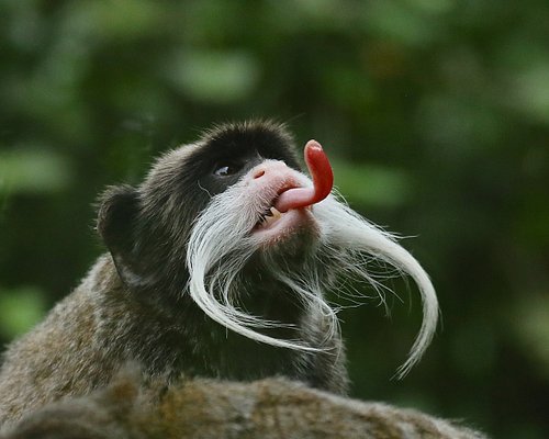 THE 10 BEST Outdoor Activities in French Guiana - Tripadvisor THE 10 BEST Outdoor Activities in French Guiana - Tripadvisor