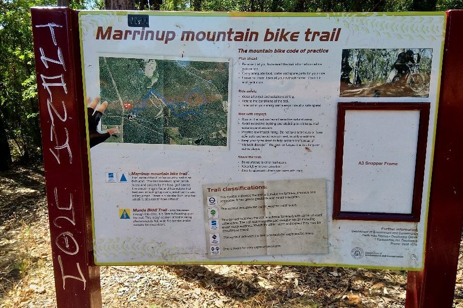 Marrinup Cycle Trail image
