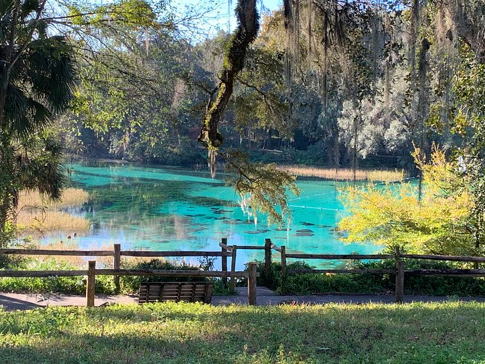 RAINBOW SPRINGS STATE PARK - Campground Reviews (Dunnellon, FL)