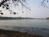 Ramsagar National Park (Dinajpur): All You Need to Know