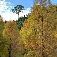 蘇董事長獨立開發的莊園景區、值得大力推薦、成果有目共睹、、