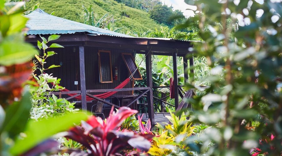 It is our Nature Bungalow . It has 2 rooms in each Bungalow. They are Built in a Dominican Country stile. INn our beautiful garden, which is right in the nature.