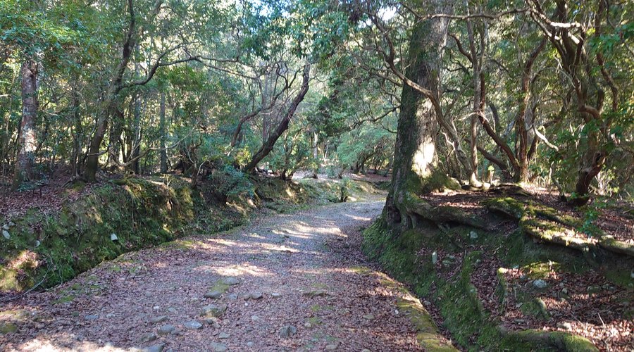 下の祢宜道（ささやきの小径）