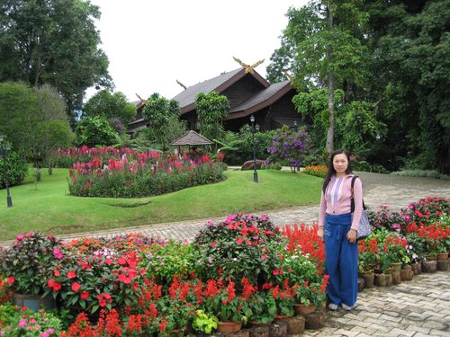 Chiang Rai review images