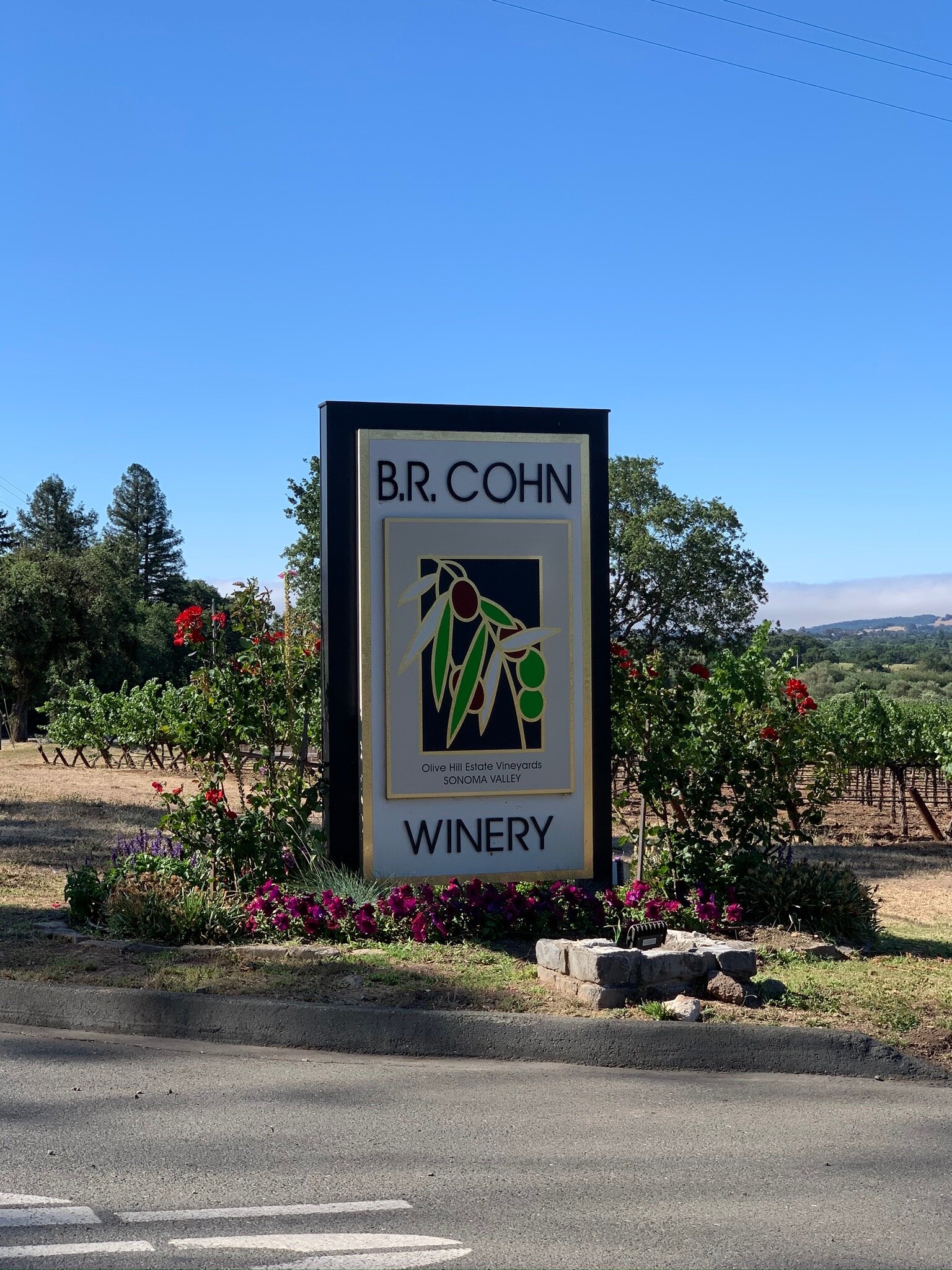 B.R. Cohn Winery (Glen Ellen) - All You Need To Know BEFORE You Go