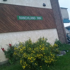 Front view of the building