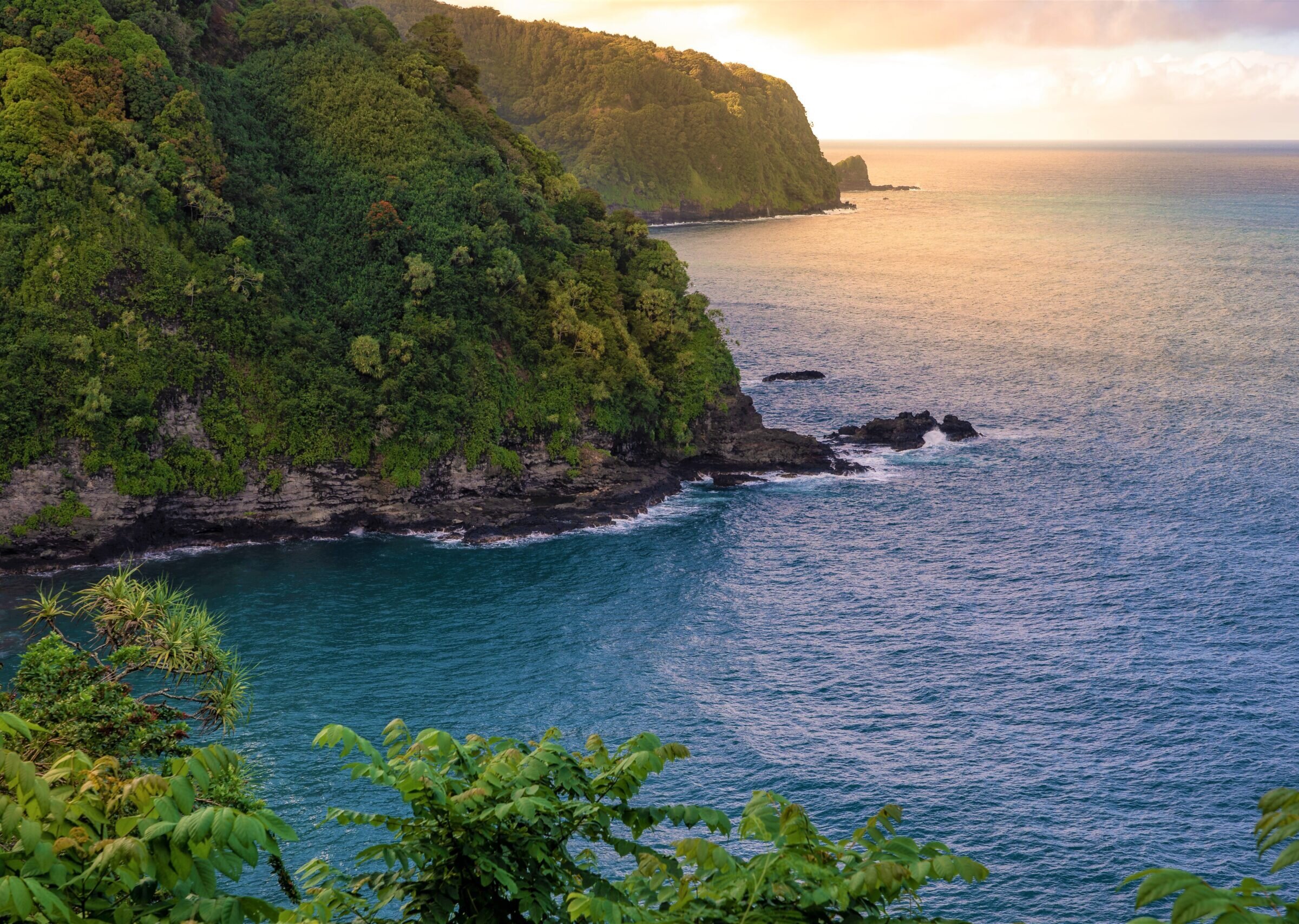 MAUI LEGEND TOURS: Tutto quello che c'è da sapere (2025)