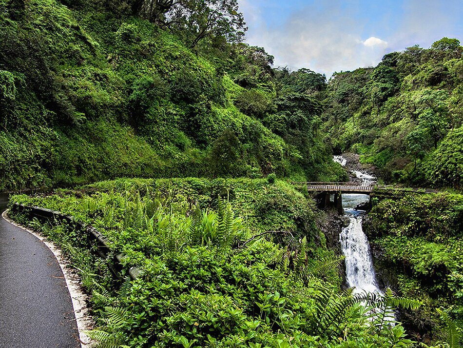 maui legend tours reviews